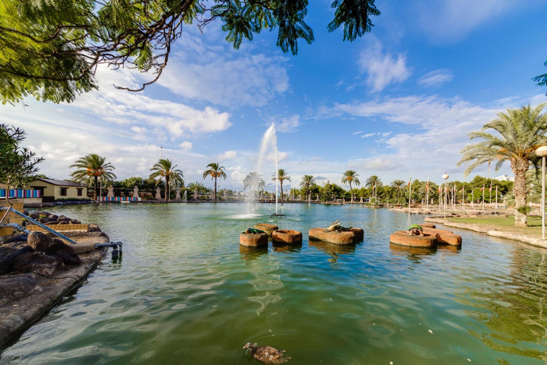 Rynek wtórny - Penthouse -
Torrevieja - Parque las naciones