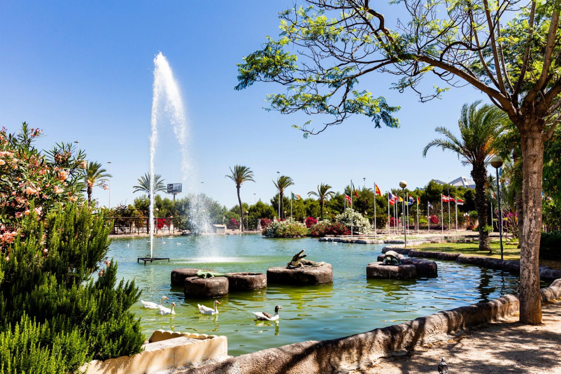 Rynek wtórny - Penthouse -
Torrevieja - Parque las naciones