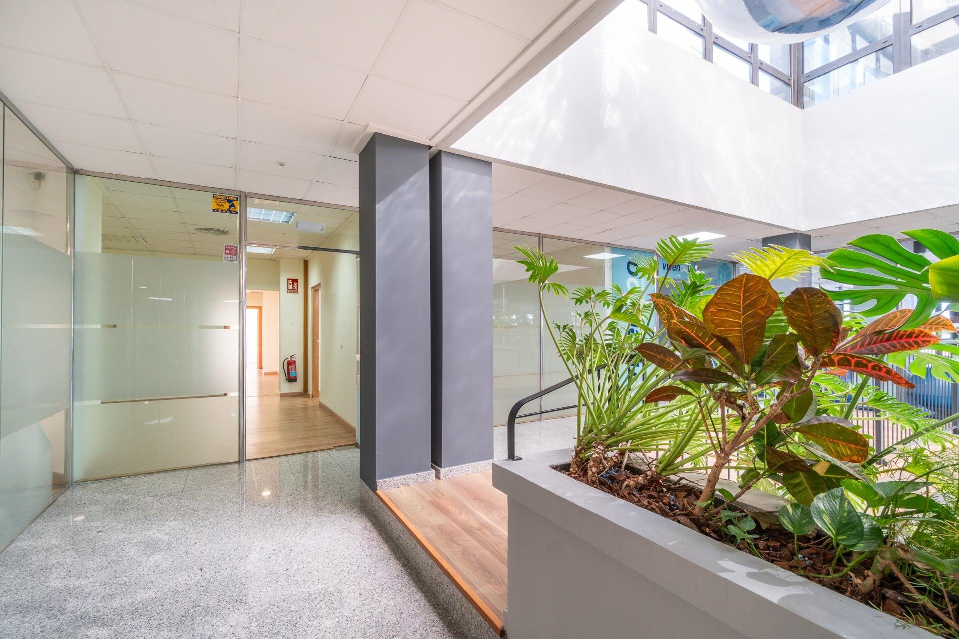 Wynajem długoterminowy - Lokal handlowy -
Orihuela Costa - Playa Flamenca