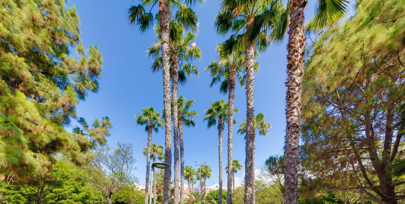 Rynek wtórny - Bungalow -
Torrevieja - Acequion