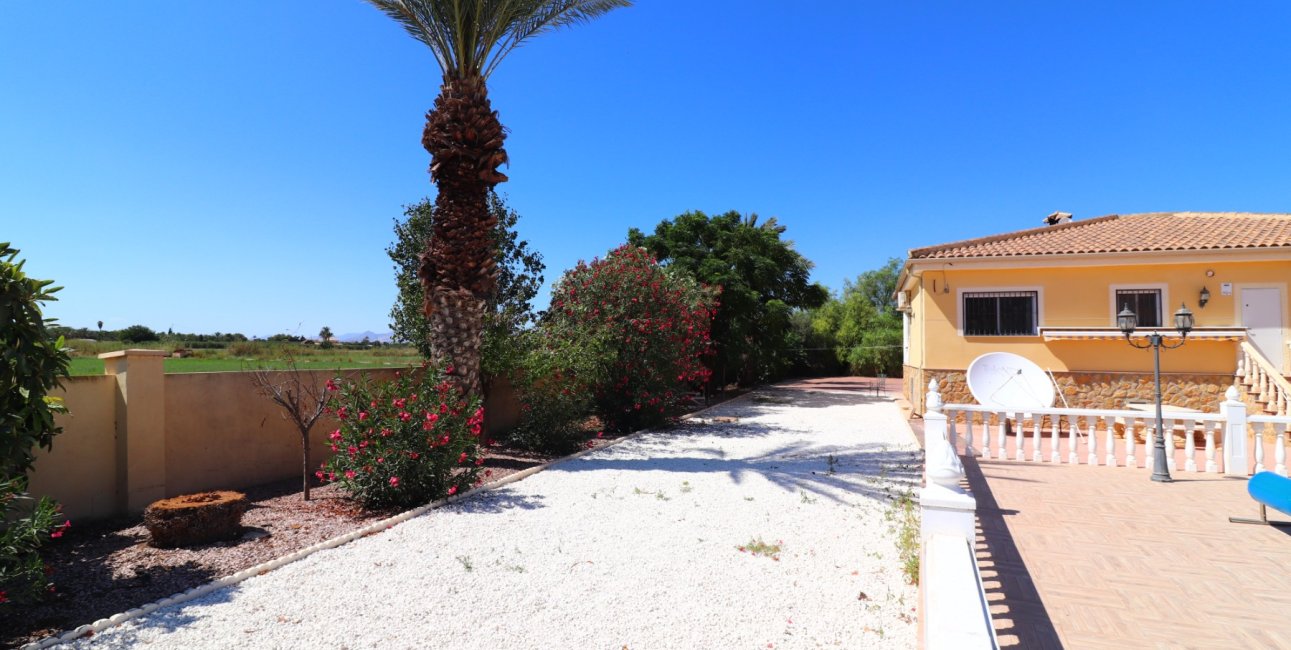 Reventa - Finca -
Catral - Catral - Country