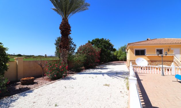 Reventa - Finca -
Catral - Catral - Country