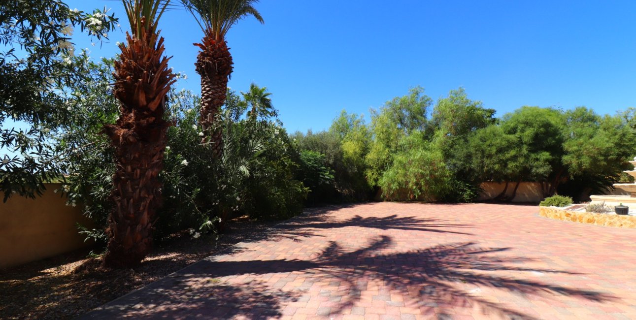 Reventa - Finca -
Catral - Catral - Country