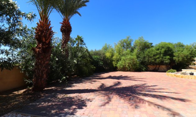 Reventa - Finca -
Catral - Catral - Country