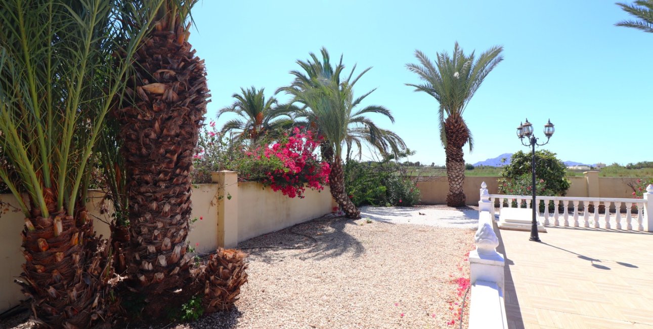 Reventa - Finca -
Catral - Catral - Country