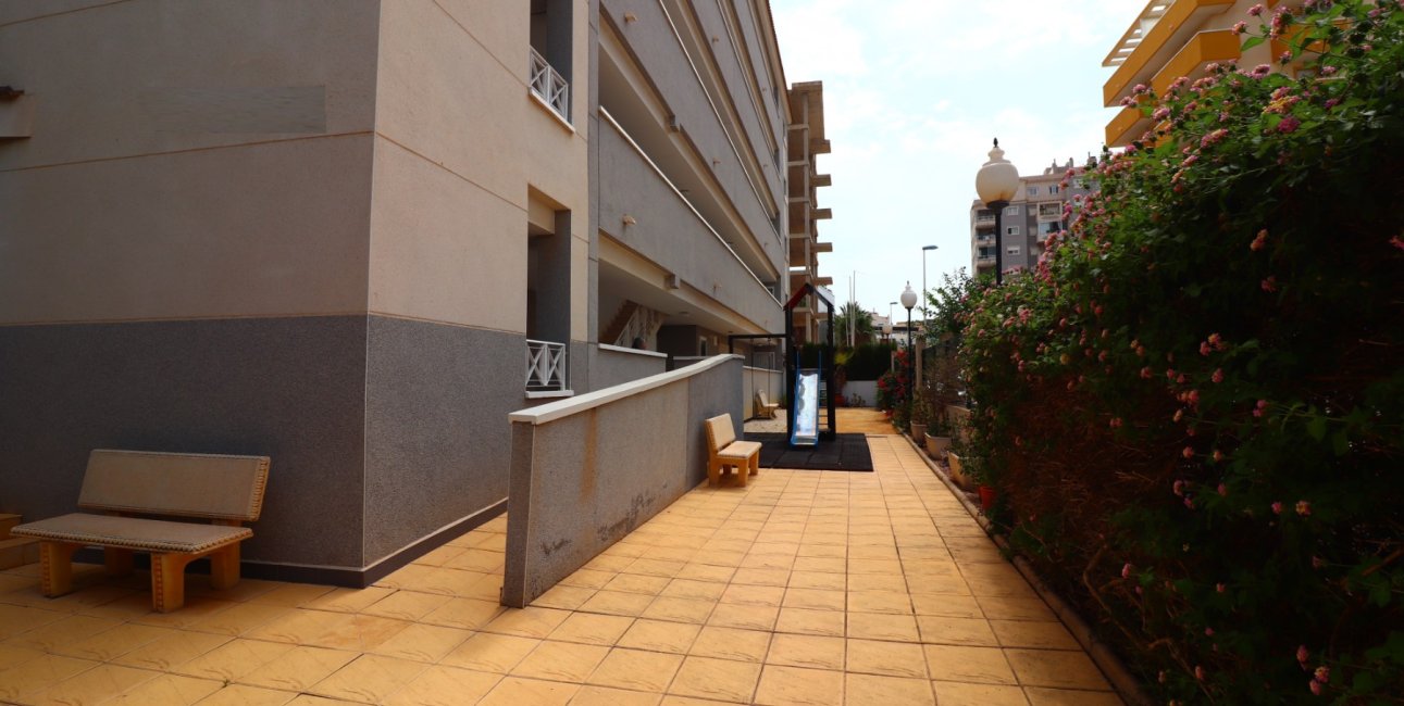 Rynek wtórny - Mieszkanie  -
Guardamar del Segura - Guardamar del Segura - Town