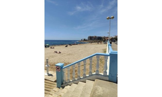 Wynajem długoterminowy - Mieszkanie w bloku -
Torrevieja - Playa de los Locos