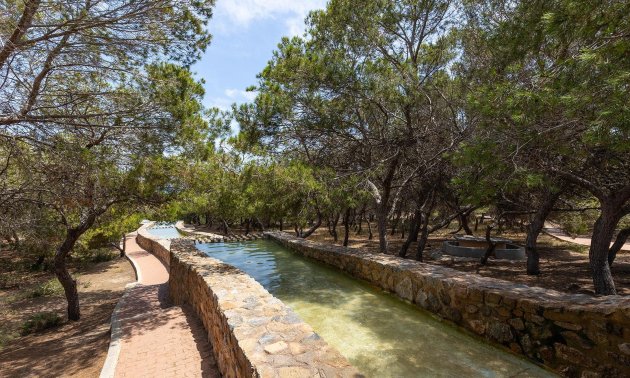 Resale - Bungalow -
Torrevieja - La Mata