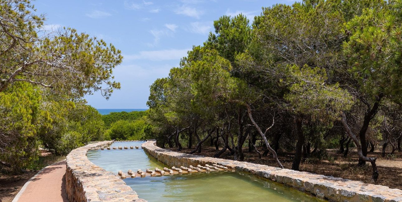 Resale - Bungalow -
Torrevieja - La Mata