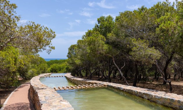 Resale - Bungalow -
Torrevieja - La Mata