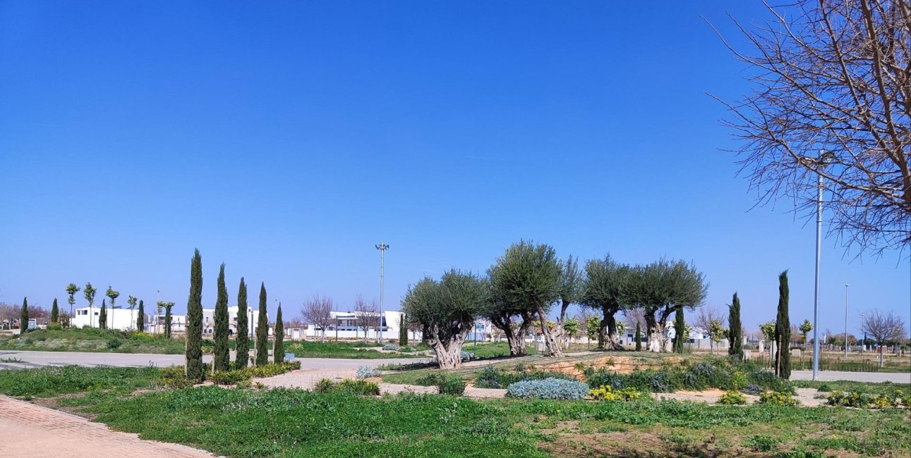 New Build - Penthouse -
Torre Pacheco - Centro