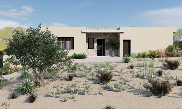 New Build - Villa -
Yecla