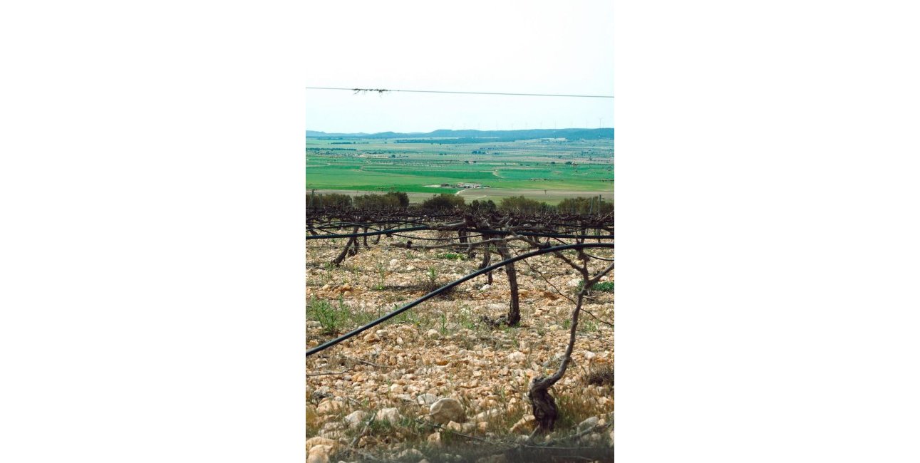 New Build - Villa -
Yecla