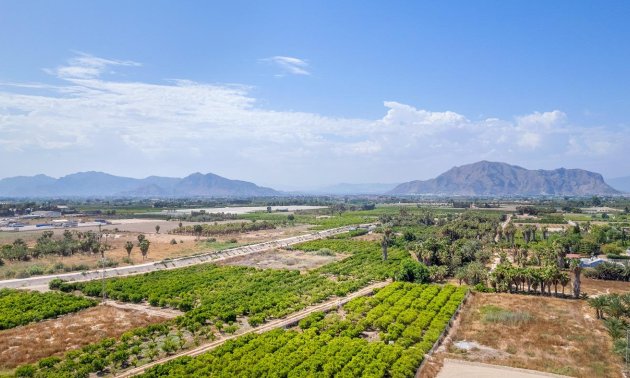 Obra nueva - Ático -
Jacarilla - pueblo