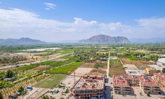 Obra nueva - Ático -
Jacarilla - pueblo