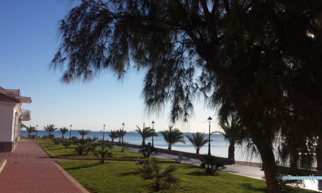 Obra nueva - Villa -
Los Alcázares - Torre del Rame