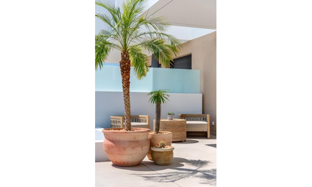 New Build - Townhouse -
Dolores - Sector 3