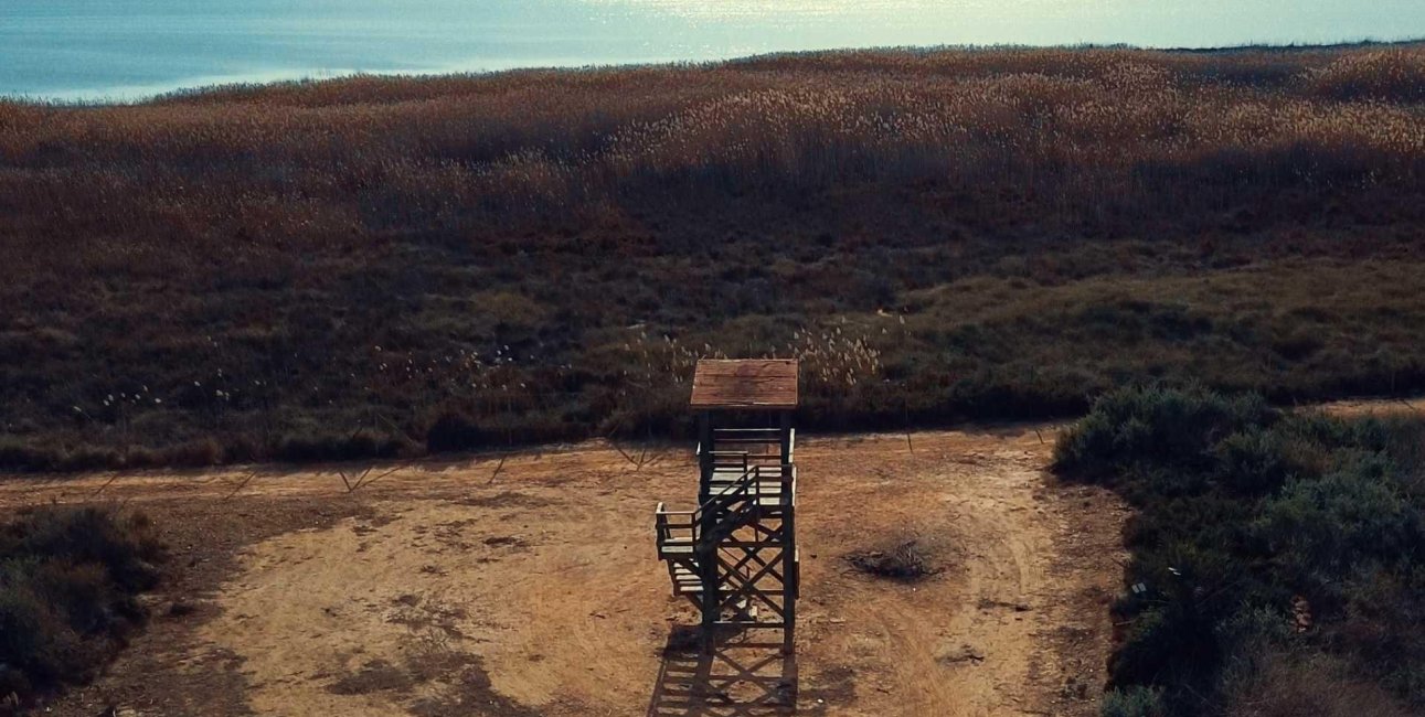 Obra nueva - Villa -
Los Montesinos - La Herrada