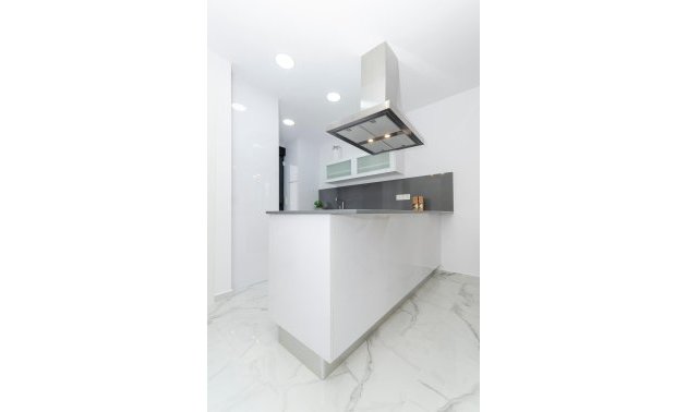 Obra nueva - Villa -
Torrevieja - La Siesta - El Salado -  Torreta