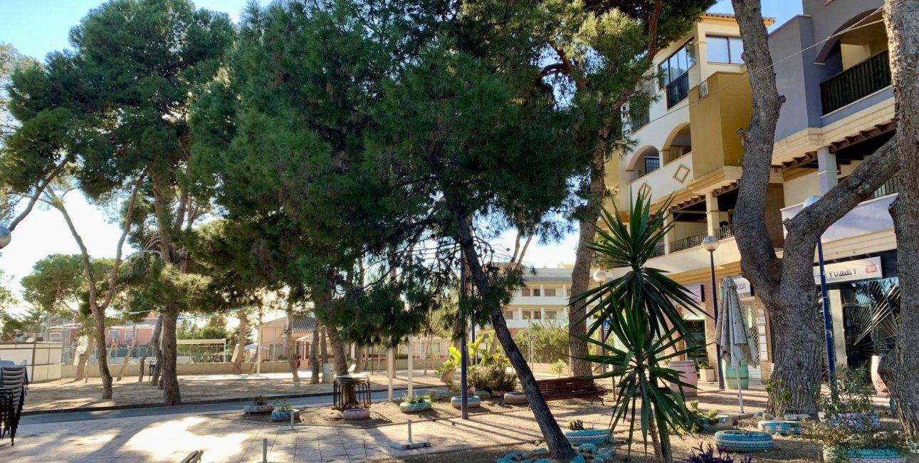 Rynek pierwotny - Bungalowy -
San Javier - Roda Golf