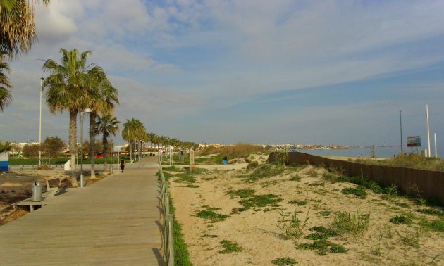 Rynek pierwotny - Willa -
Pilar de la Horadada