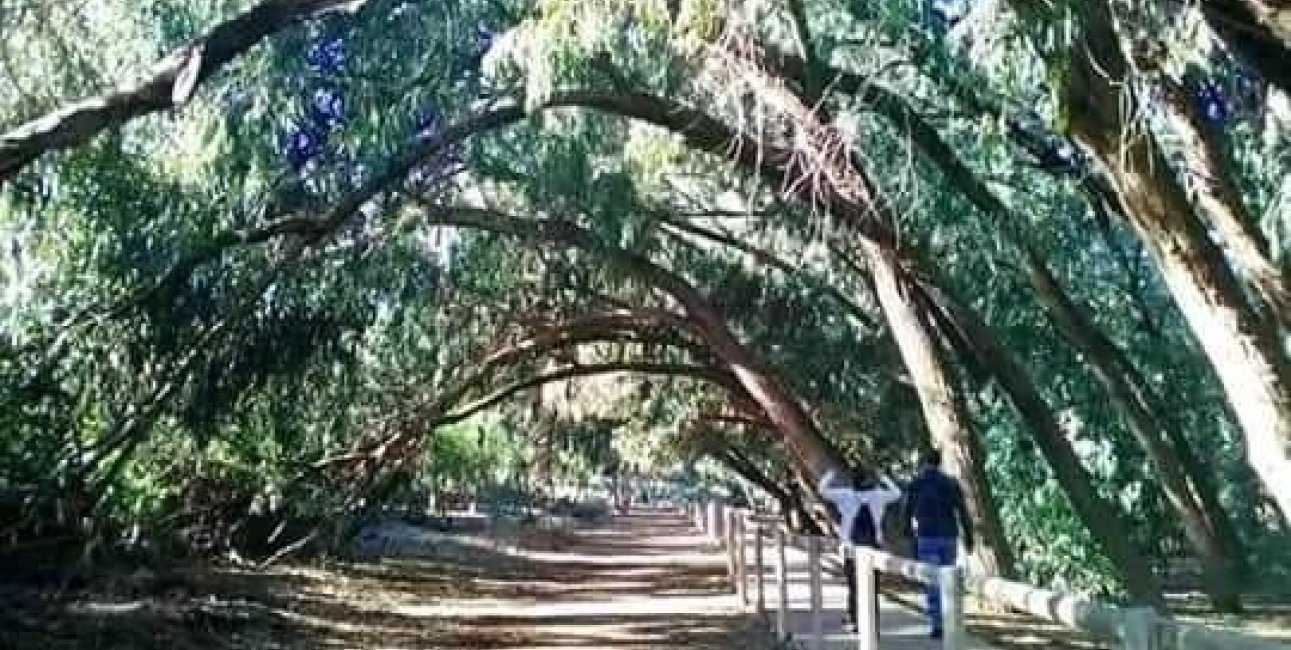 Rynek pierwotny - Bungalowy -
Torrevieja - Aguas Nuevas