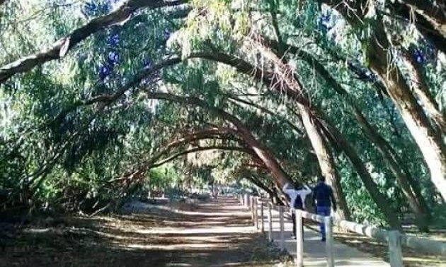 Rynek pierwotny - Bungalowy -
Torrevieja - Aguas Nuevas