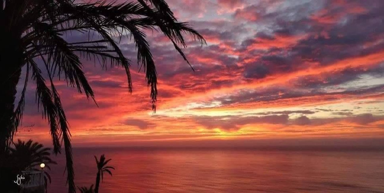 Rynek pierwotny - Bungalowy -
Torrevieja - Aguas Nuevas