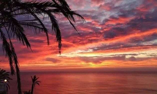 Rynek pierwotny - Bungalowy -
Torrevieja - Aguas Nuevas