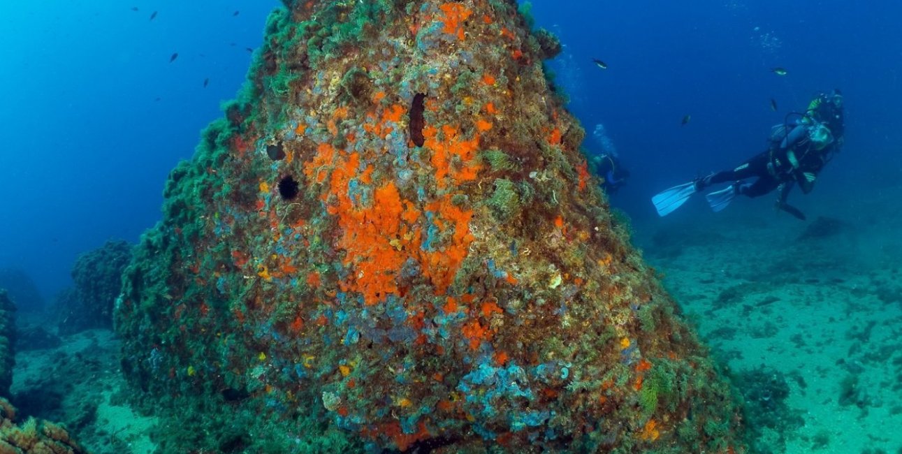 New Build - Apartment / flat -
Aguilas - Isla Del Fraile