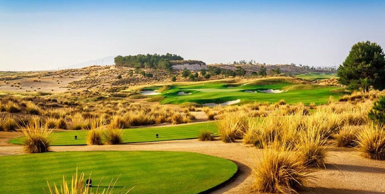 Obra nueva - Villa -
Alhama De Murcia - Condado De Alhama