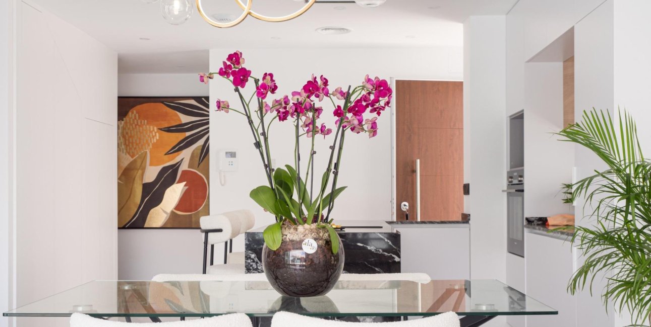 Obra nueva - Villa -
San Pedro del Pinatar - San Pedro Del Pinatar