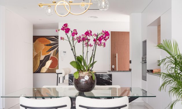 Obra nueva - Villa -
San Pedro del Pinatar - San Pedro Del Pinatar