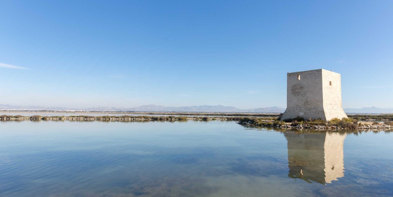 New Build - Apartment / flat -
Santa Pola - Estacion de autobuses