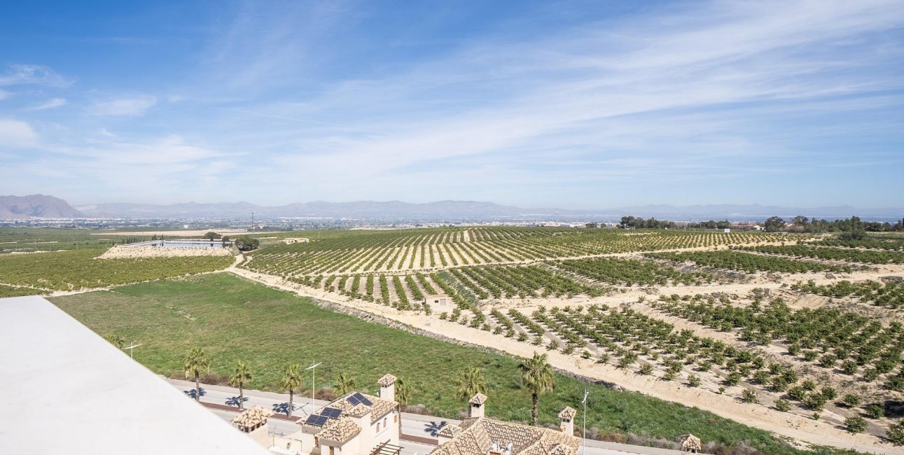 New Build - Villa -
Algorfa - La Finca Golf