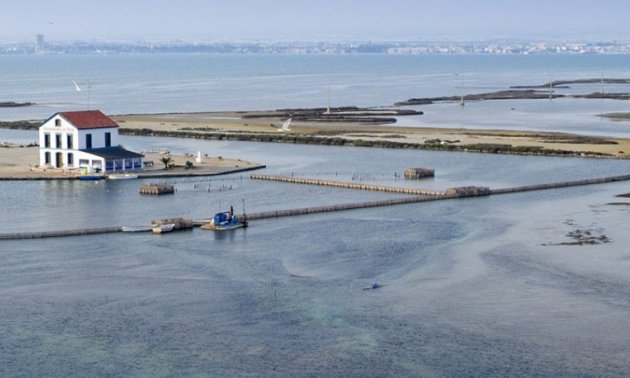 Obra nueva - Villa -
San Pedro del Pinatar - El Salero