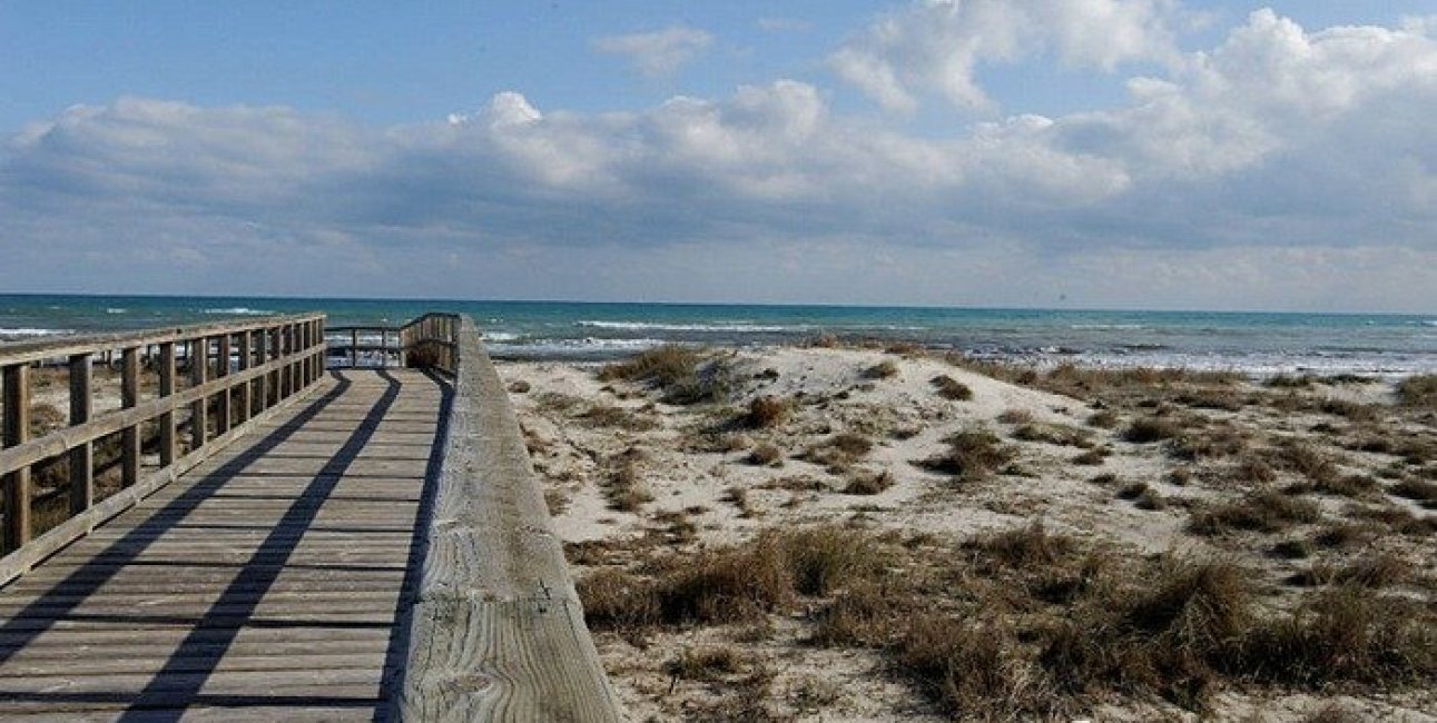 Obra nueva - Villa -
San Pedro del Pinatar - El Salero