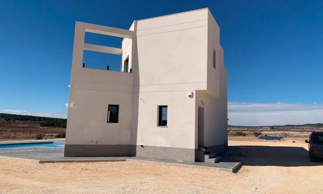 Obra nueva - Villa -
Pinoso - Camino Del Prado