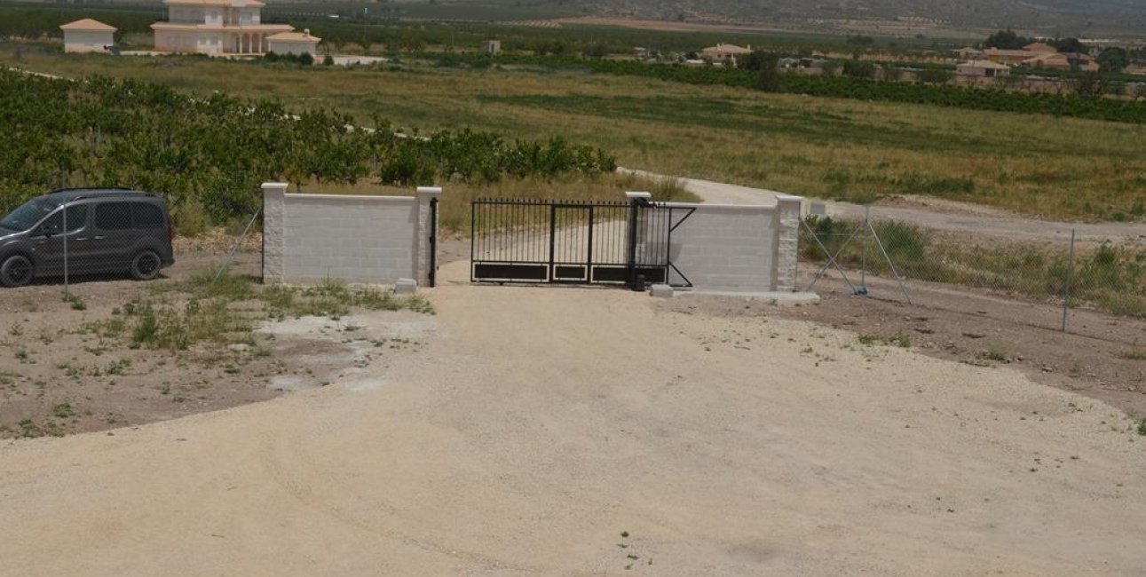 New Build - Villa -
Pinoso - Camino Del Prado