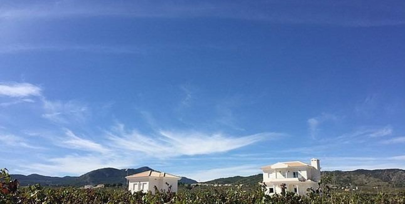 New Build - Villa -
Pinoso - Camino Del Prado