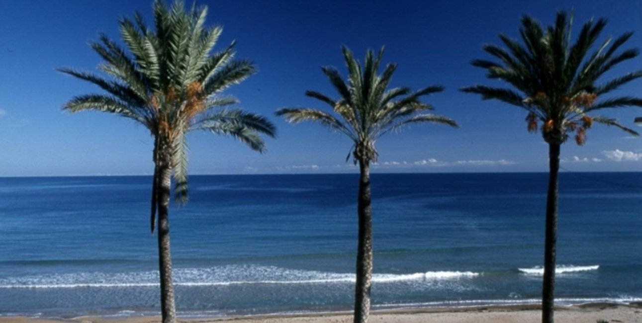 New Build - Bungalow -
Pilar de la Horadada - Parque Ramon eugenio Escudero