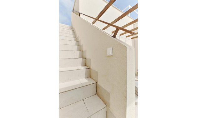 Obra nueva - Bungalow -
Torrevieja - La Veleta