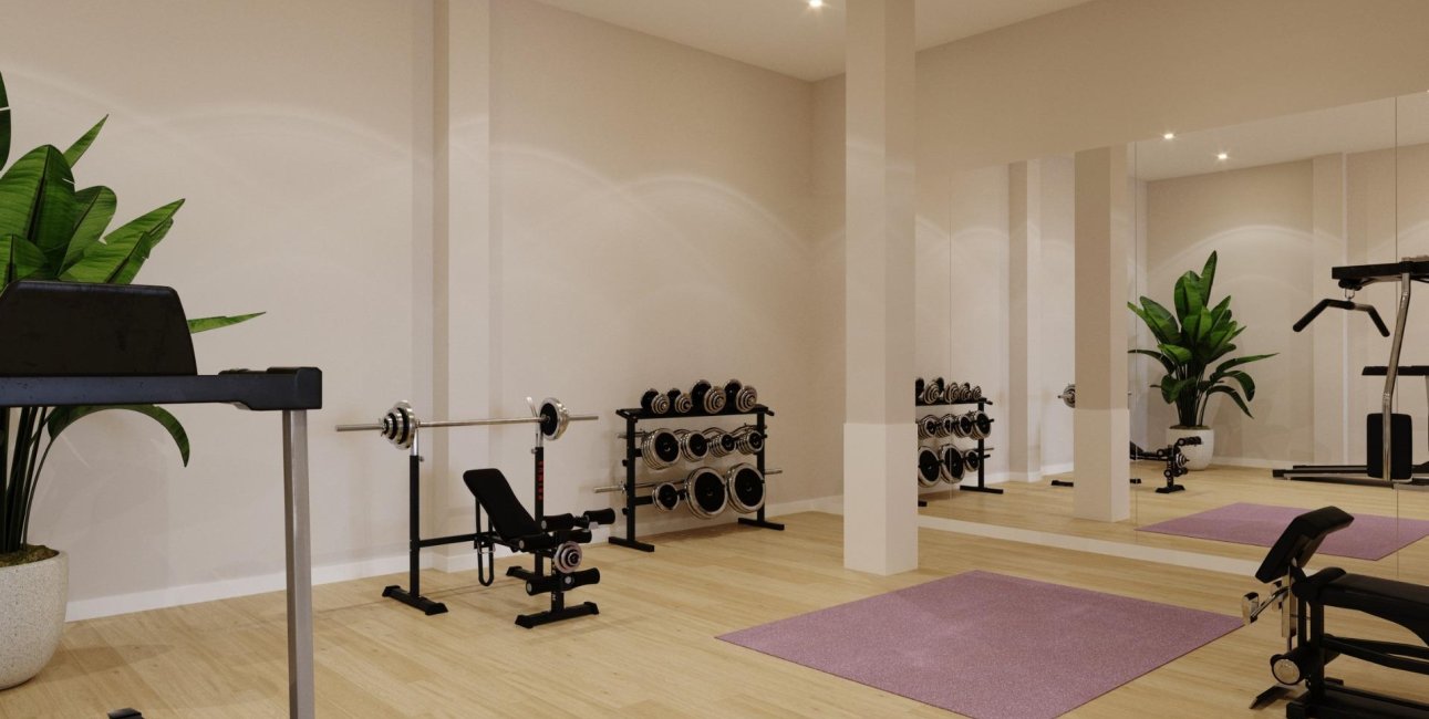 New Build - Penthouse -
Algorfa - Pueblo