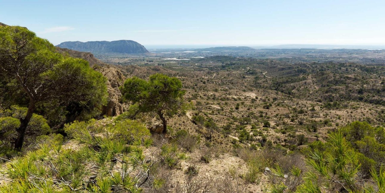 New Build - Villa -
Alicante - Centro