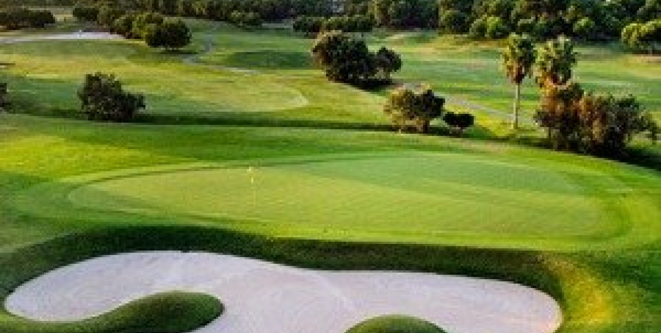 New Build - Villa -
Pilar de la Horadada - Lo Romero Golf