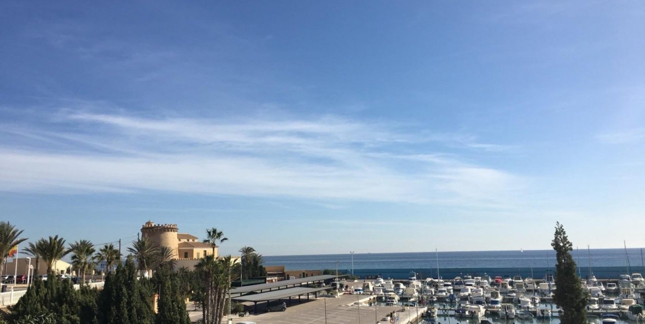 New Build - Villa -
Pilar de la Horadada - Las Higuericas