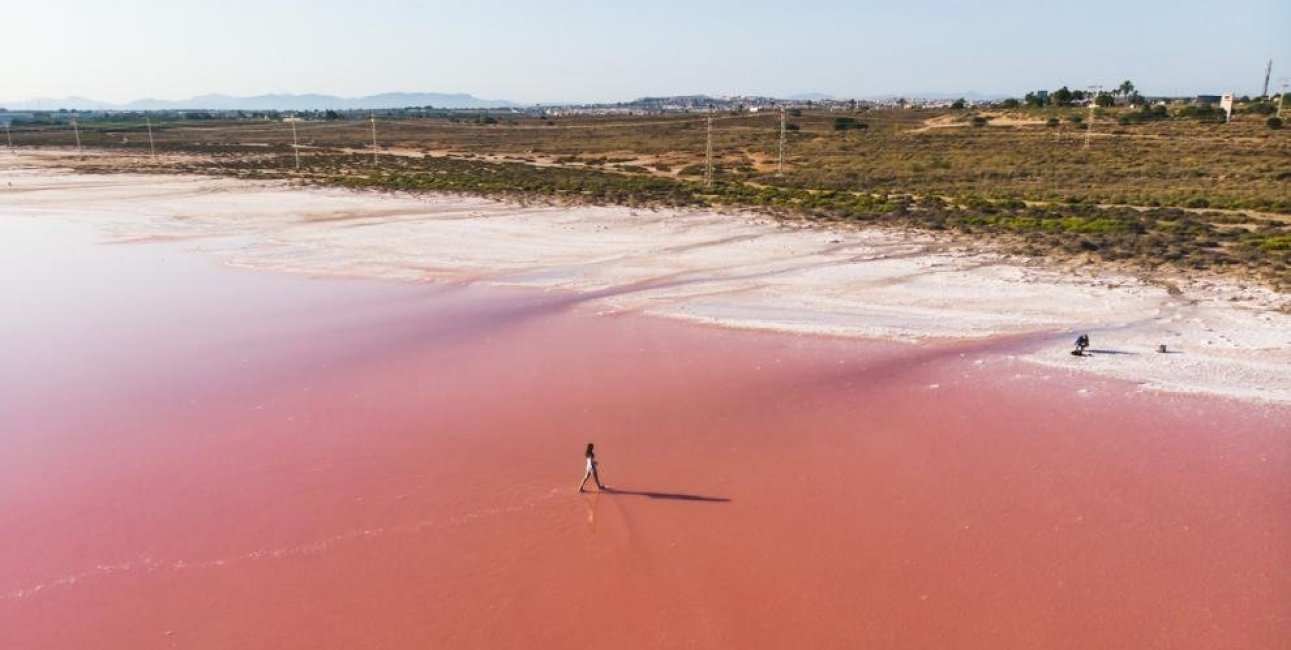 Obra nueva - Villa -
Torrevieja - Aguas Nuevas