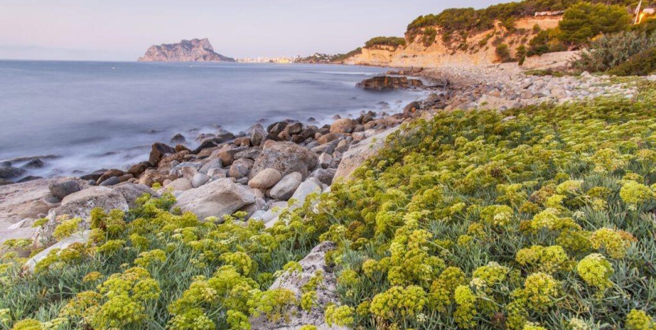 Obra nueva - Villa -
Benissa - Cala Advocat