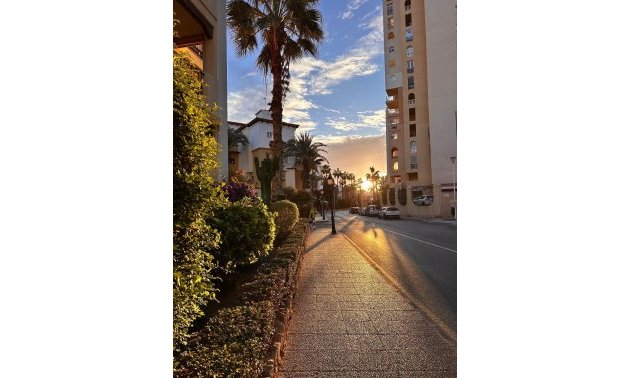 Rynek wtórny - Mieszkanie w bloku -
Torrevieja - Playa de los Locos