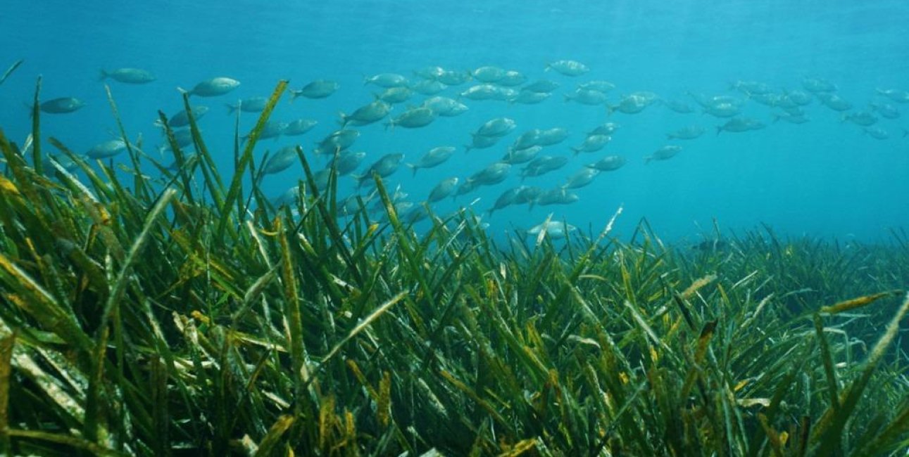 New Build - Villa -
Benissa - Racó Del Galeno